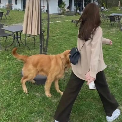 续命之徒：绝命毒师电影